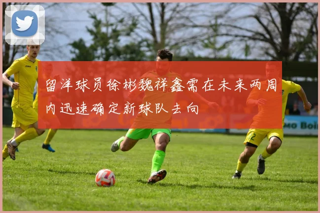 留洋球员徐彬魏祥鑫需在未来两周内迅速确定新球队去向
